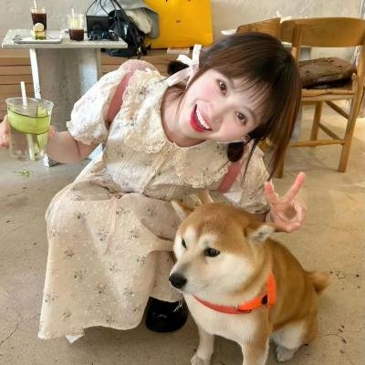 破碎的温柔